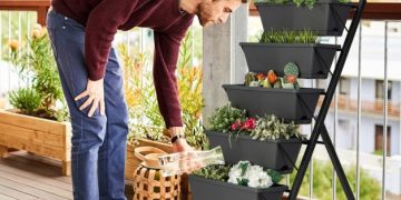 No Dia dos Pais dê Presentes vivos: plantas unem pais e filhos e ainda deixam a casa mais verde.