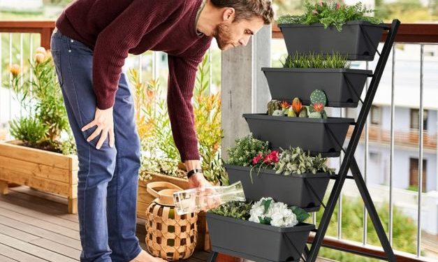 No Dia dos Pais dê Presentes vivos: plantas unem pais e filhos e ainda deixam a casa mais verde.