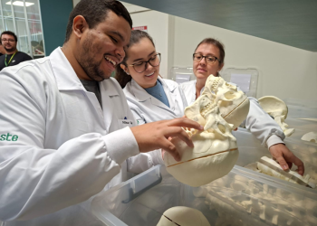 Universidade do interior paulista ganha Biblioteca de Ossos inédita, onde alunos de medicina podem levar modelos para estudar em casa