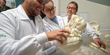 Universidade do interior paulista ganha Biblioteca de Ossos inédita, onde alunos de medicina podem levar modelos para estudar em casa